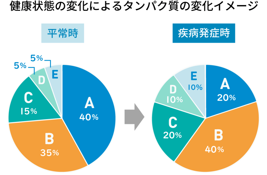 健康状態の変化によるタンパク質の変化イメージ